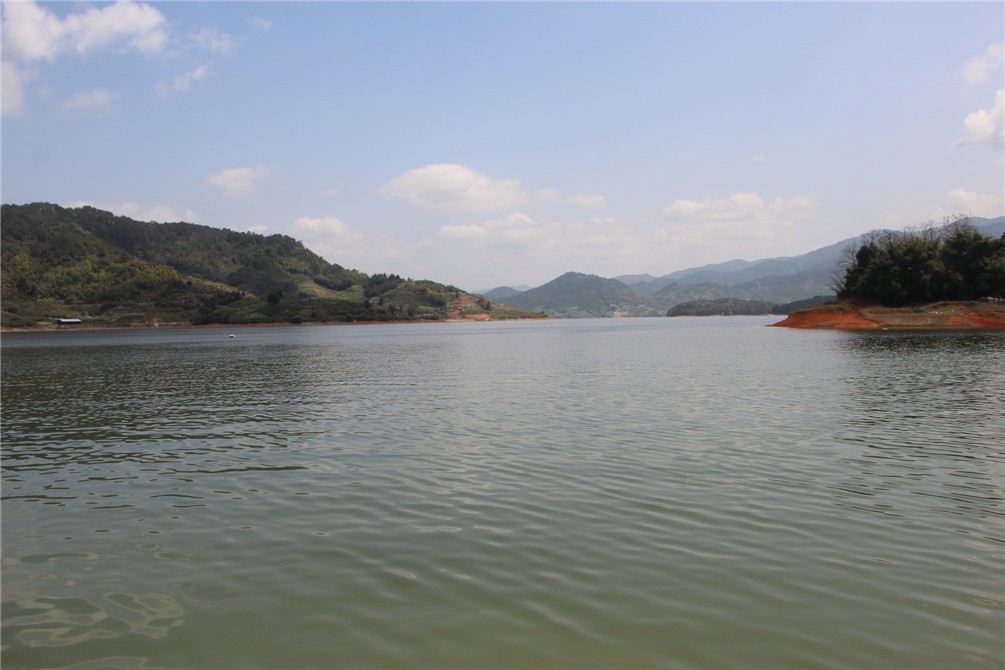 IMG_8786.JPG
