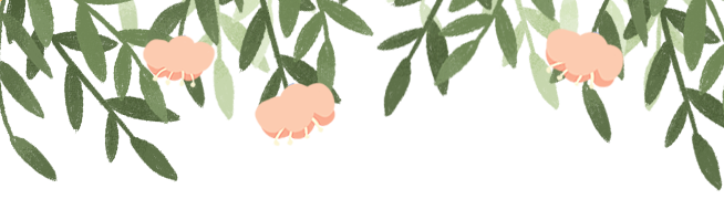 41.png